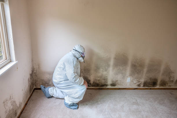 Asbestos and Lead Testing During Mold Inspection in Cochran, GA