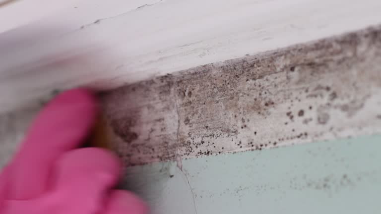 Best Forensic Mold Investigation  in Cochran, GA
